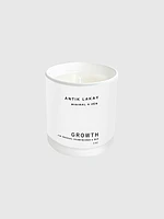 Growth Candle