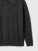 Merino Polo Sweater