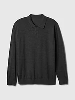 Merino Polo Sweater