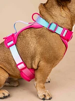 Ultra Comfort Neoprene Dog Harness