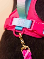 Ultra Comfort Neoprene Dog Harness