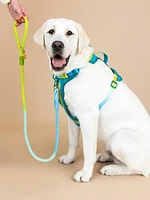 Ultra Comfort Neoprene Dog Harness