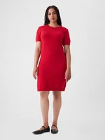 CashSoft Mini Sweater Dress