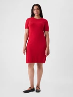 CashSoft Mini Sweater Dress