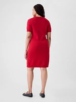 CashSoft Mini Sweater Dress