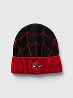 Marvel Spider-Man Beanie