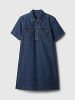 Denim Shift Mini Dress