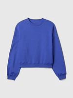 Vintage Soft Wedge Crewneck Sweatshirt