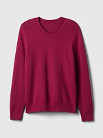 CashSoft V-Neck Sweater