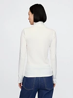 Modern Rib Turtleneck