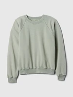 Vintage Soft Raglan Sweatshirt