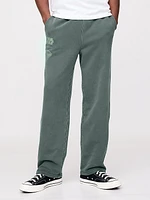 Star Wars Heavyweight Joggers