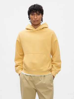 The Extra Heavyweight Hoodie That Hoodies