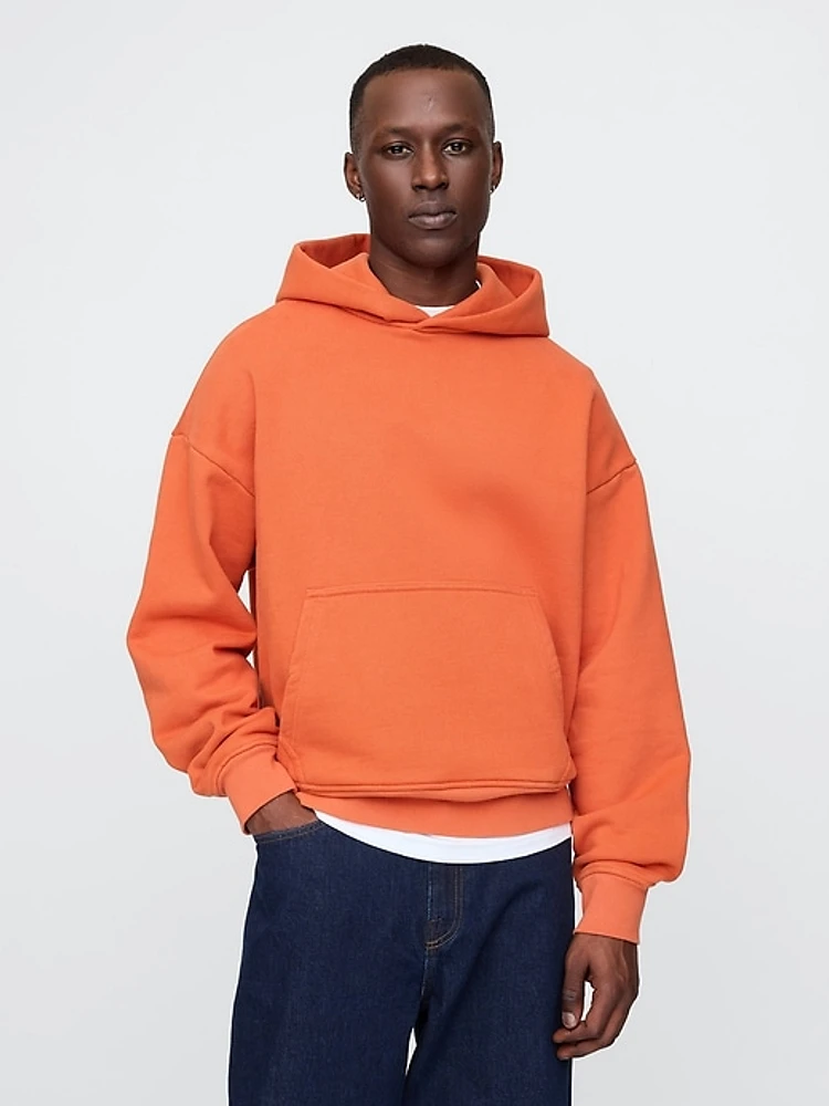 The Extra Heavyweight Hoodie That Hoodies