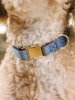 Glitter Dog Collar