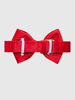 Velvet Dog Bow Tie