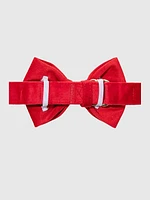 Velvet Dog Bow Tie and Collar