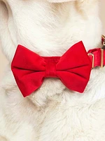 Velvet Dog Bow Tie and Collar