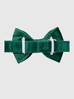 Velvet Dog Bow Tie