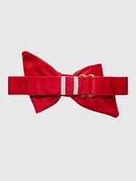 Velvet Dog Babe Bow and Collar