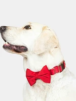 Velvet Dog Bow Tie and Collar