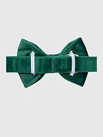 Velvet Dog Bow Tie and Collar