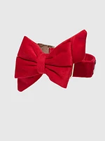 Velvet Dog Babe Bow and Collar