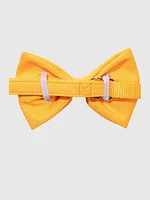 Glitter Dog Bow Tie and Collar