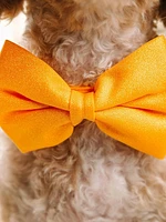 Glitter Dog Bow Tie and Collar