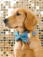 Glitter Dog Bow Tie and Collar