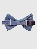 Glitter Dog Bow Tie and Collar