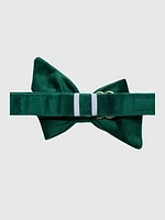 Velvet Dog Babe Bow and Collar