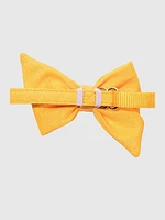 Glitter Dog Babe Bow and Collar