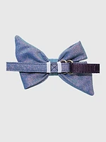 Glitter Dog Babe Bow and Collar