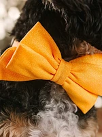 Glitter Dog Babe Bow and Collar