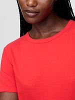Organic Cotton VintageSoft T-Shirt