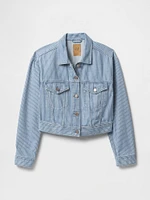 UltraSoft Denim Stripe Cropped Icon Jacket