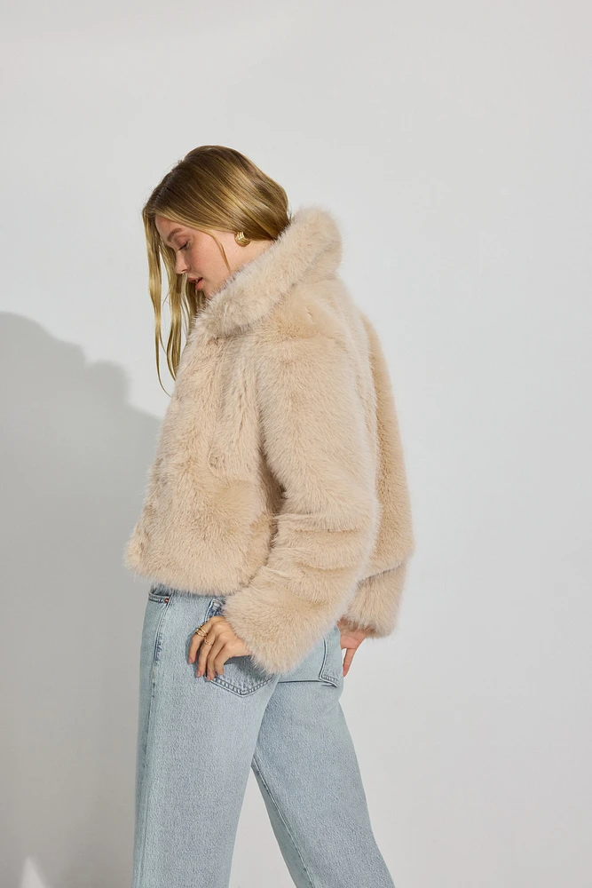 Short Faux Fur Coat