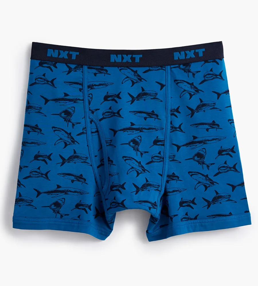 Printed Boxer Briefs