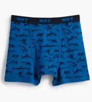 Printed Boxer Briefs