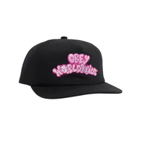 Year 5 Panel Snapback