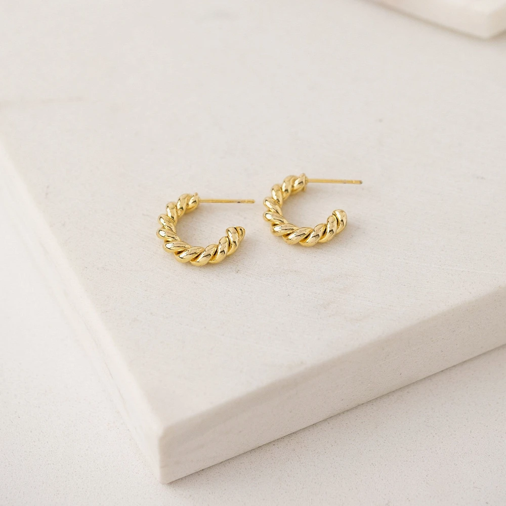 Dawson Twist Hoop Earrings