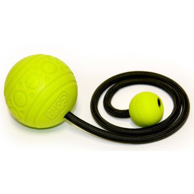 GoFit Goball and Therapy Poster - Equipment