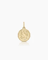 Diamond Zodiac Coin Charm