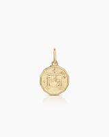 Diamond Zodiac Coin Charm