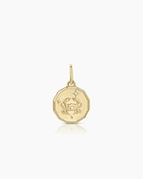 Diamond Zodiac Coin Charm