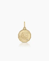 Diamond Zodiac Coin Charm