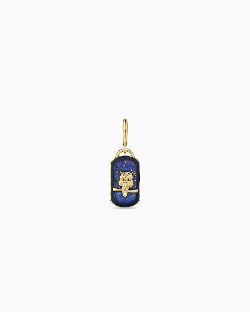 Power Gemstone Wisdom Parker Charm