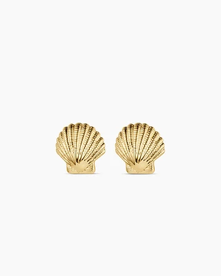 Shell Statement Studs