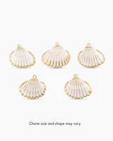 Scallop Shell Parker Charm